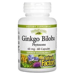 Natural Factors, Ginkgo Biloba, Phytosome, 60 mg, 60 Capsules - HealthCentralUSA
