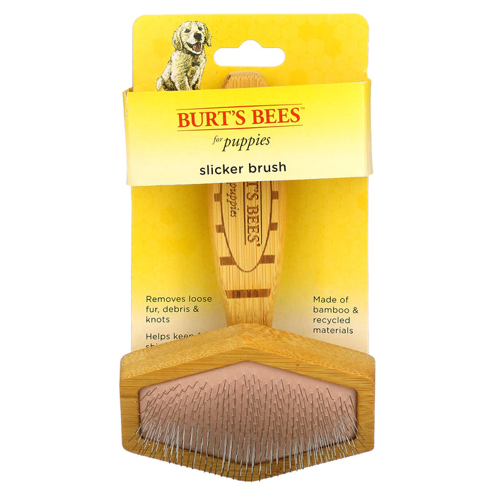 Burt's Bees, Slicker Brush for Puppies, 1 Brush