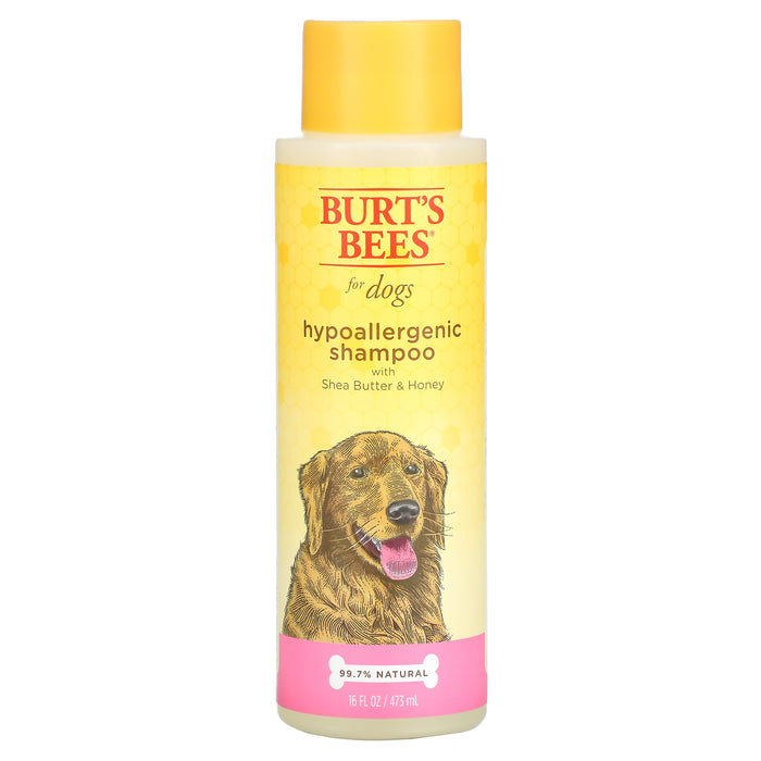 Burt's Bees, Hypoallergenic Shampoo for Dogs with Shea Butter & Honey, 16 fl oz (473 ml)