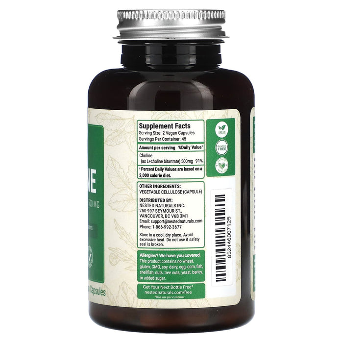 Nested Naturals, Choline (L (+) Choline Bitartrate), 250 mg, 90 Vegan Capsules