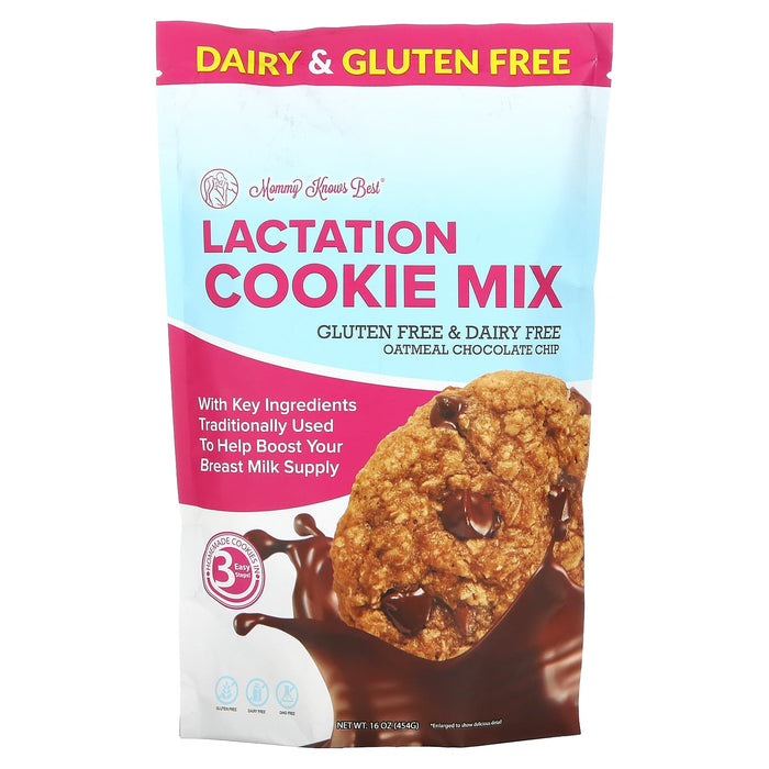 Mommy Knows Best, Lactation Cookie Mix , Oatmeal Chocolate Chip, 16 oz (454 g)