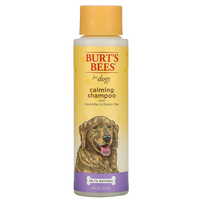 Burt's Bees, Calming Shampoo for Dogs with Lavender & Green Tea, 16 fl oz (473 ml)