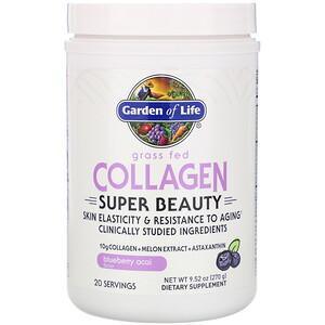 Garden of Life, Grass Fed Collagen, Super Beauty, Blueberry Acai, 9.52 oz (270 g) - HealthCentralUSA