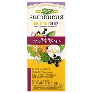 Nature's Way, Sambucus for Kids, HoneyBerry NightTime Cough Syrup, 4 fl oz (120 ml) - HealthCentralUSA