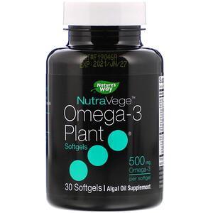 Ascenta, NutraVege, Omega-3 Plant, 500 mg, 30 Softgels - HealthCentralUSA