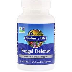 Garden of Life, Fungal Defense, 84 Vegan Caplets - HealthCentralUSA