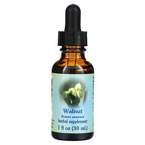 Flower Essence Services, Walnut, Flower Essence, 1 fl oz (30 ml) - HealthCentralUSA