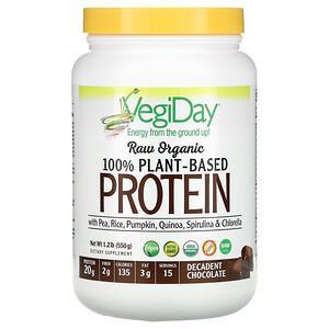 Natural Factors, Raw Organic 100% Plant-Based Protein, Decadent Chocolate, 1.2 lb (550 g) - HealthCentralUSA