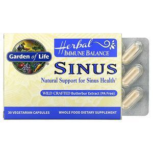 Garden of Life, Herbal Immune Balance, Sinus, 30 Vegetarian Capsules - HealthCentralUSA