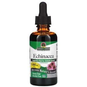 Nature's Answer, Echinacea, Alcohol-Free, 1000 mg, 2 fl oz (60 ml) - HealthCentralUSA