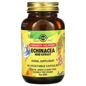 Solgar, Echinacea Herb Extract, 60 Vegetable Capsules - HealthCentralUSA