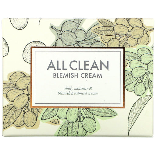 Heimish, All Clean Blemish Cream, 60 ml - HealthCentralUSA