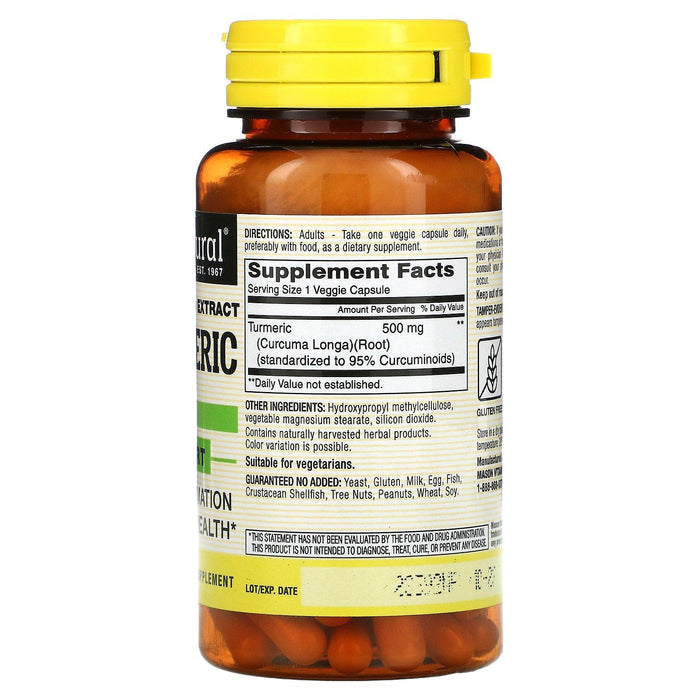 Mason Natural, Standardized Extract Turmeric, 60 Veggie Caps - HealthCentralUSA