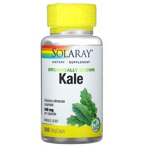 Solaray, Organically Grown Kale, 440 mg, 100 VegCaps - HealthCentralUSA