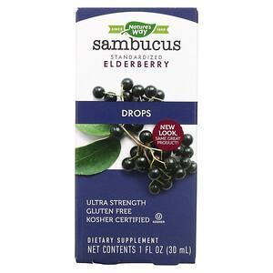 Nature's Way, Sambucus Elderberry, Drops, 1 fl oz (30 ml) - HealthCentralUSA