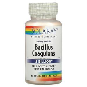Solaray, Bacillus Coagulans, 2.5 Billion, 60 Vegetarian Capsules - HealthCentralUSA