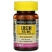 Mason Natural, Iron, 65 mg, 100 Tablets - HealthCentralUSA