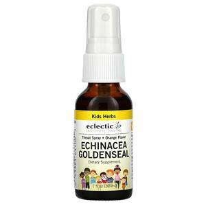 Eclectic Institute, Kids Herbs, Echinacea Goldenseal, Orange, 1 fl oz (30 ml) - HealthCentralUSA