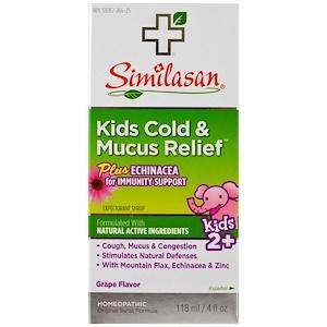 Similasan, Kids Cold & Mucus Relief, Kids 2+, Grape Flavor, 4 fl oz (118 ml) - HealthCentralUSA