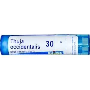 Boiron, Single Remedies, Thuja Occidentalis, 30C, Approx 80 Pellets - HealthCentralUSA