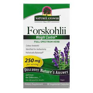 Nature's Answer, Forskohlii, 250 mg, 60 Vegetarian Capsules - HealthCentralUSA
