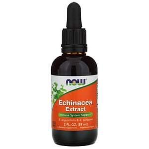 Now Foods, Echinacea Extract, 2 fl oz (59 ml) - HealthCentralUSA