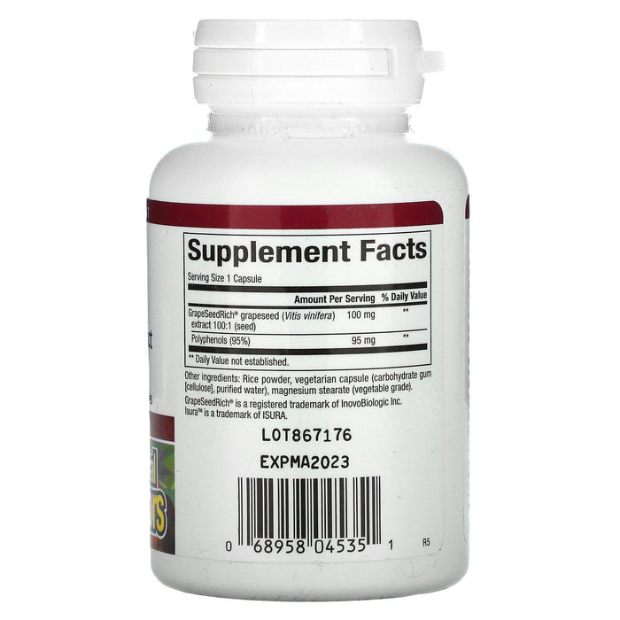 Natural Factors, Grape Seed Extract, 100 mg, 60 Vegetarian Capsules - HealthCentralUSA