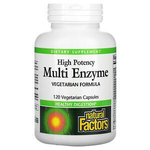 Natural Factors, High Potency, Multi Enzyme, 120 Vegetarian Capsules - HealthCentralUSA