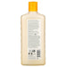 Andalou Naturals, Shampoo, Brilliant Shine, For Strength and Vitality, Sunflower & Citrus, 11.5 fl oz (340 ml) - HealthCentralUSA