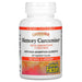 Natural Factors, CurcuminRich, Memory Curcumizer, 60 Vegetarian Capsules - HealthCentralUSA