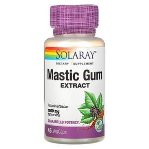 Solaray, Mastic Gum Extract, 500 mg, 45 VegCaps - HealthCentralUSA