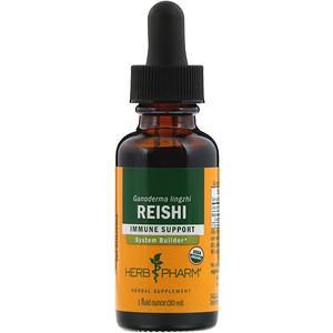 Herb Pharm, Reishi, 1 fl oz (30 ml) - HealthCentralUSA