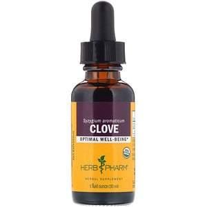 Herb Pharm, Clove, Syzygium Aromaticum, 1 fl oz (30 ml) - HealthCentralUSA