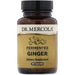 Dr. Mercola, Fermented Ginger, 60 Capsules - HealthCentralUSA
