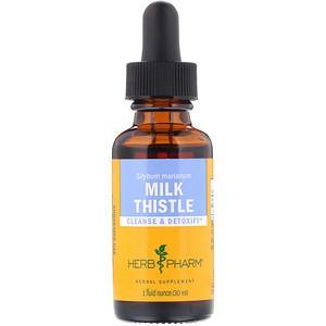 Herb Pharm, Milk Thistle, 1 fl oz (30 ml) - HealthCentralUSA