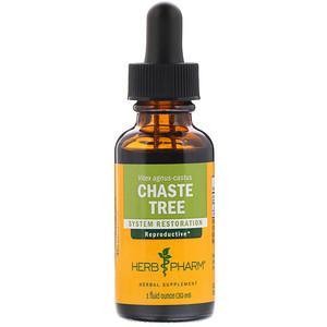 Herb Pharm, Chaste Tree, 1 fl oz (30 ml) - HealthCentralUSA