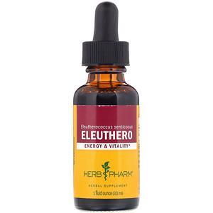 Herb Pharm, Eleuthero, 1 fl oz (30 ml) - HealthCentralUSA