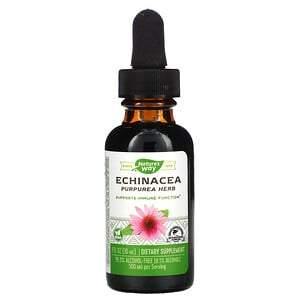 Nature's Way, Echinacea, 99.9% Alcohol Free, 1 fl oz (30 ml) - HealthCentralUSA