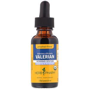 Herb Pharm, Valerian, Alcohol-Free, 1 fl oz (30 ml) - HealthCentralUSA