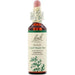 Bach, Original Flower Remedies, Holly, 0.7 fl oz (20 ml) - HealthCentralUSA