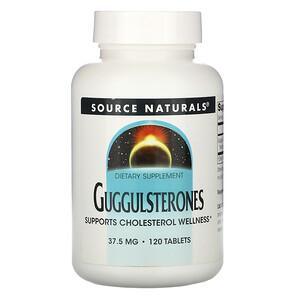 Source Naturals, Guggulsterones, 37.5 mg, 120 Tablets - HealthCentralUSA