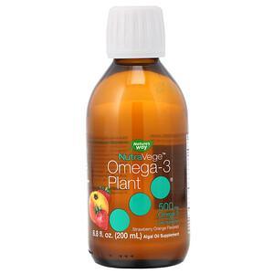 Ascenta, NutraVege, Omega-3 Plant, Strawberry Orange Flavored, 500 mg, 6.8 fl oz (200 ml) - HealthCentralUSA