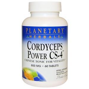 Planetary Herbals, Cordyceps Power CS-4, 800 mg, 60 Tablets - HealthCentralUSA