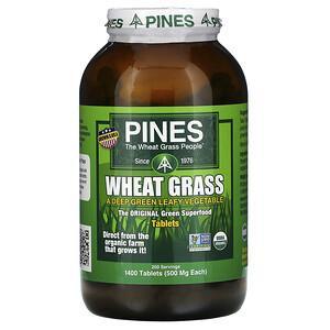 Pines International, Wheat Grass, 500 mg, 1,400 Tablets - HealthCentralUSA