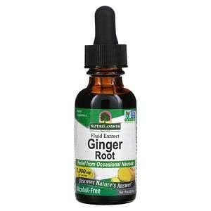 Nature's Answer, Ginger Root, Fluid Extract, Alcohol-Free, 1,000 mg, 1 fl oz (30 ml) - HealthCentralUSA