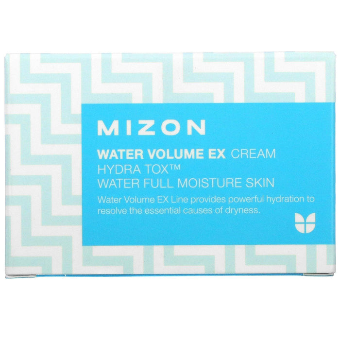 Mizon, Water Volume EX Cream, 3.38 fl oz (100 ml) - HealthCentralUSA
