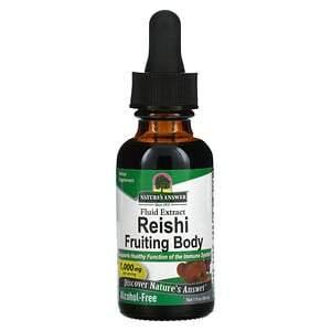 Nature's Answer, Reishi, Alcohol-Free, 1000 mg, 1 fl oz (30 ml) - HealthCentralUSA