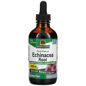 Nature's Answer, Echinacea Root, Fluid Extract, Alcohol-Free, 1,000 mg, 4 fl oz (120 ml) - HealthCentralUSA