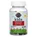Garden of Life, Kid's Immune Gummy + Vitamin C, D & Zinc, Cherry, 60 Vegetarian Gummies - HealthCentralUSA
