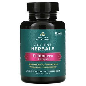 Dr. Axe / Ancient Nutrition, Ancient Herbals, Echinacea + Astragalus, 60 Capsules - HealthCentralUSA